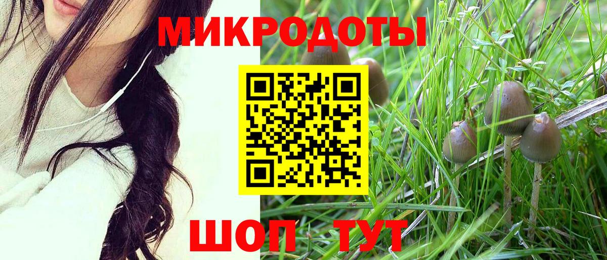 Псилоцибиновые грибы Cubensis  Вход с VPN  Гудермес 