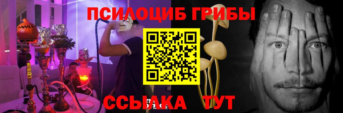 Псилоцибиновые грибы прущие грибы Гудермес